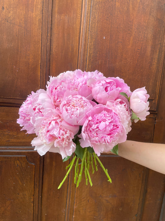 Bouquet de pivoines